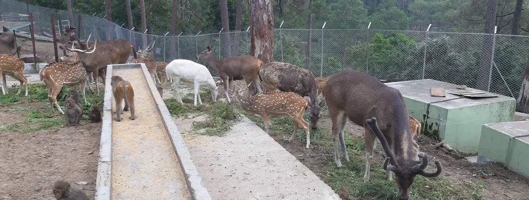 Mrig Vihar Zoo (Baldhauti)